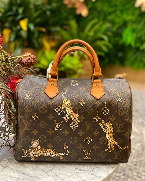 speedy louis vuitton bags|louis vuitton speedy bag used.